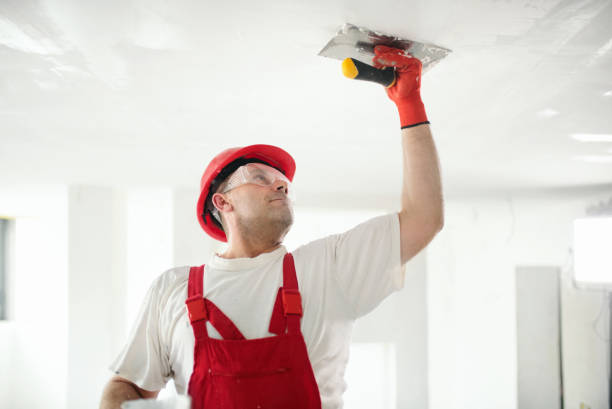 Best New Construction Drywall Services  in Philipsburg, MT