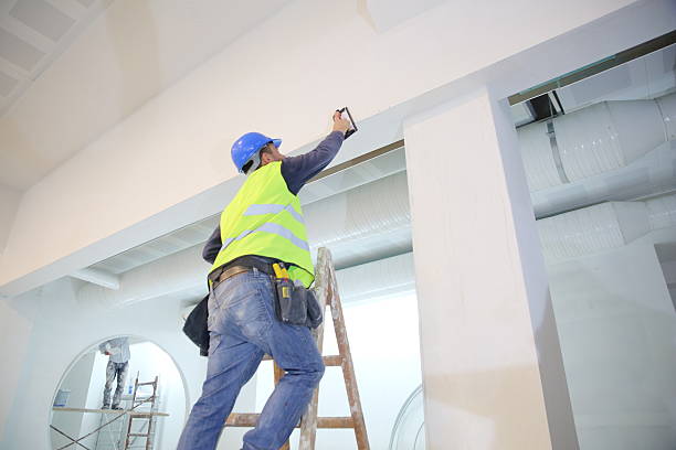 Best Drywall Removal and Disposal  in Philipsburg, MT